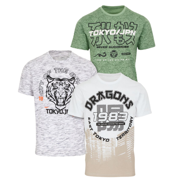 3 bedruckte Herren T-Shirts