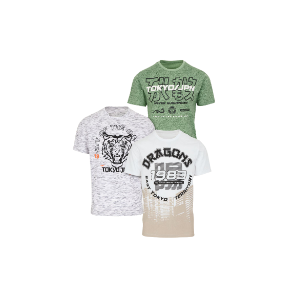 3 bedruckte Herren T-Shirts in verschiedenen Farben