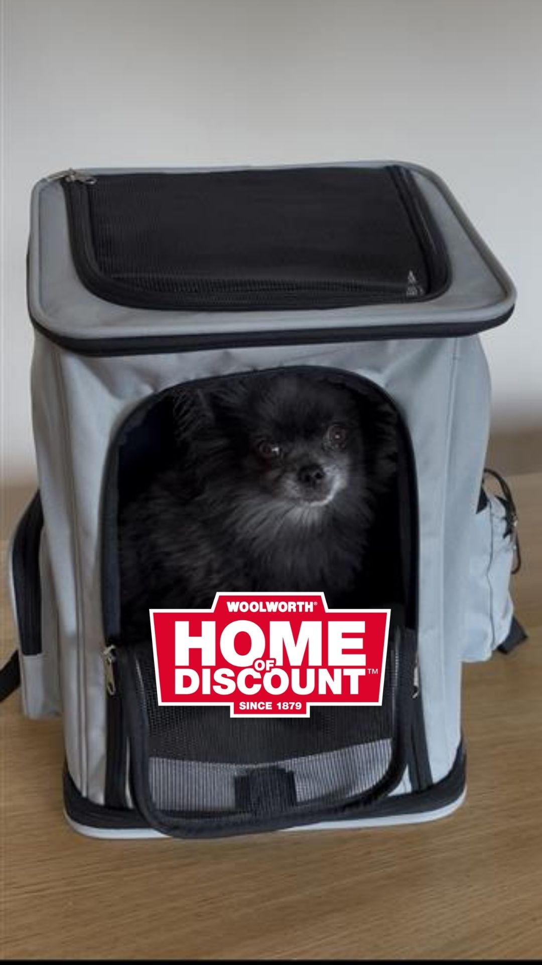 🎒🐶 Praktisch unterwegs mit deinem Vierbeiner! 🐶🎒 Mit einem Hunderucksack bist du bestens für…