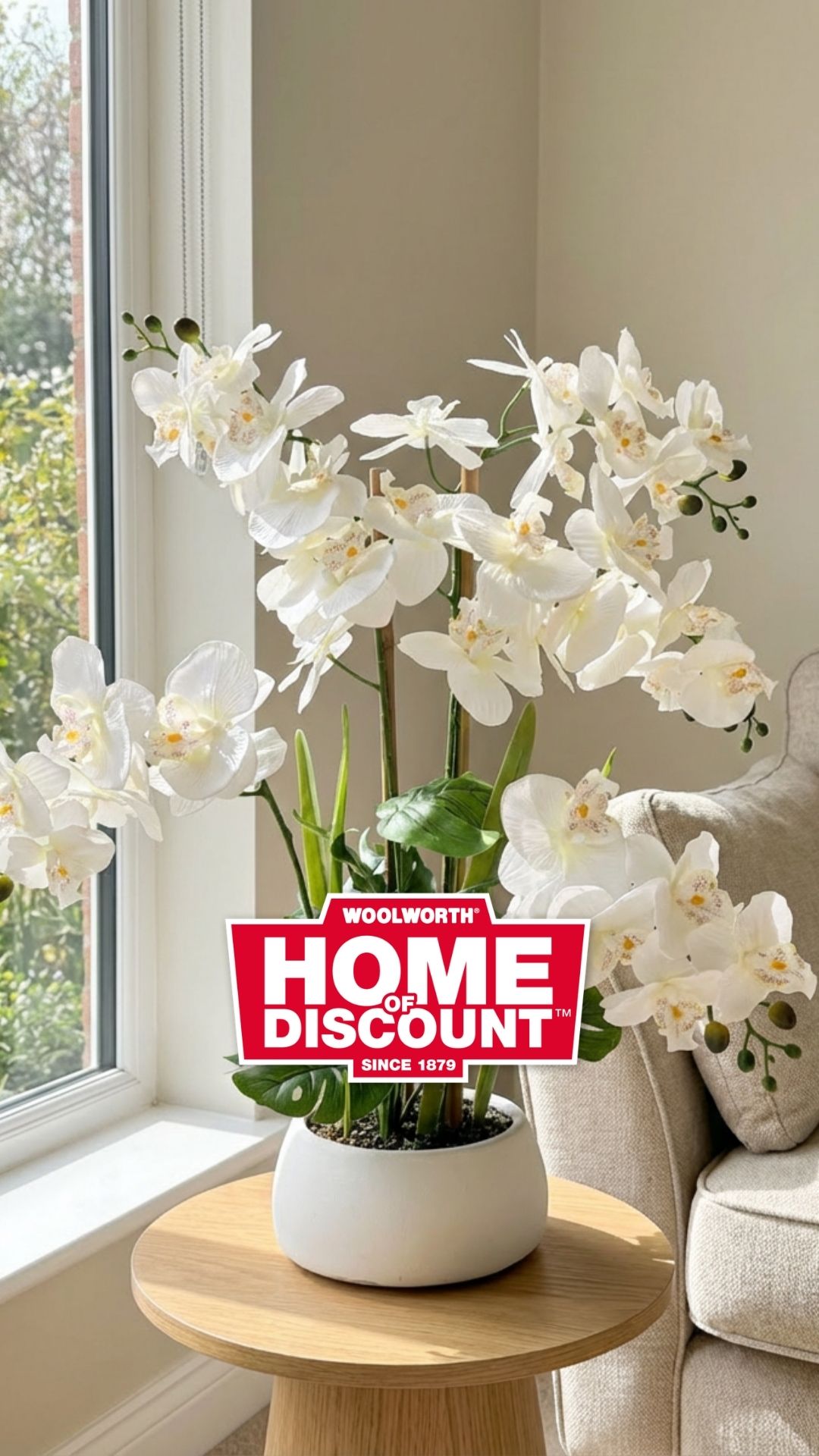 🌸✨ Eleganz für dein Zuhause! ✨🌸 Diese stilvolle Orchidee bringt mit ihren zarten Blüten eine ruhige…