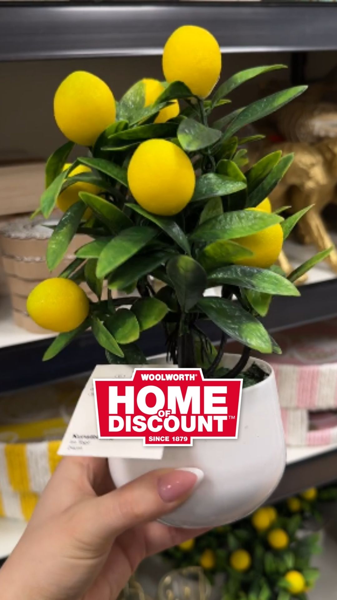 🍋✨ Frische Vibes für dein Zuhause! ✨🍋 Mit zitroniger Deko bringst du sofort Sommerstimmung in…