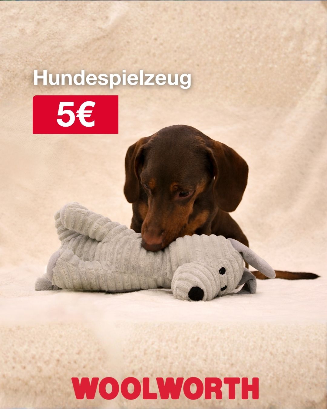 🐶✨ Spielspaß für deinen Vierbeiner! ✨🐶 Ob zum Kuscheln, Zerren oder Herumtollen – dieses süße…
