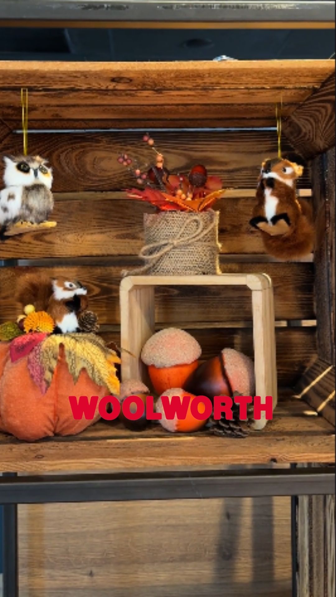 🍂🧡 Der Herbst zieht ein! 🧡🍂 Zeit für gemütliche Herbststimmung zu Hause! ✨ Mit unseren liebevollen…